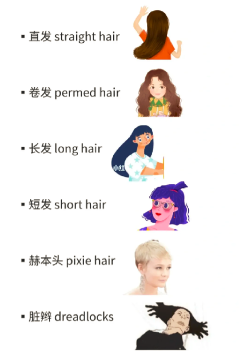 2023061220553131.png 图片.png