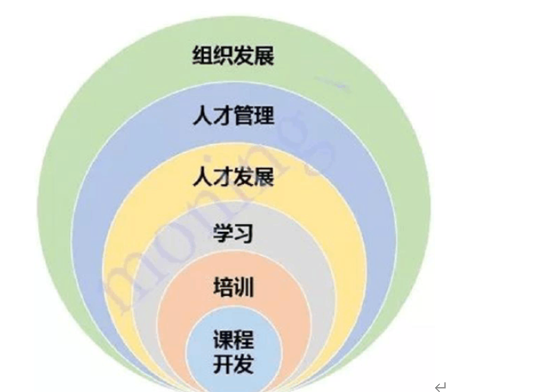 2023121909520808.png image.png